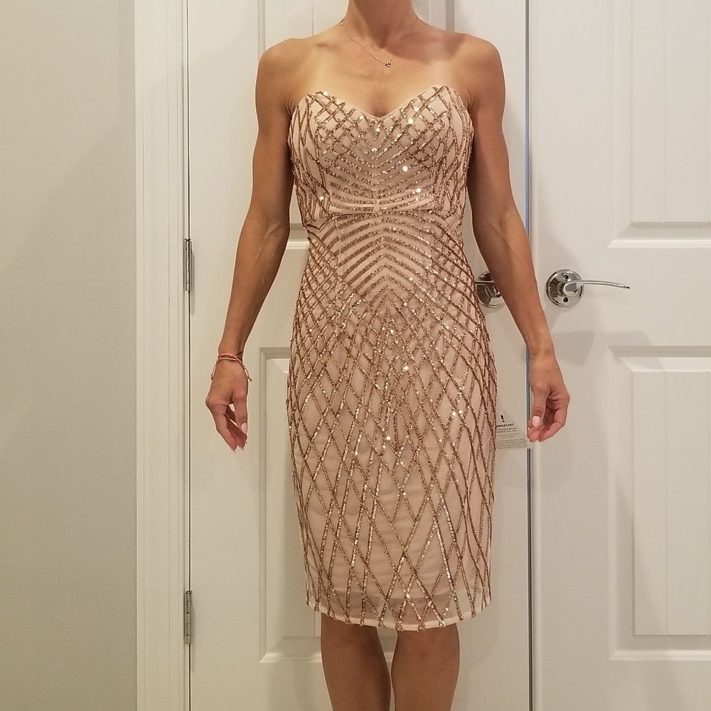 Lumiere pale pink/gold sequin strapless dress